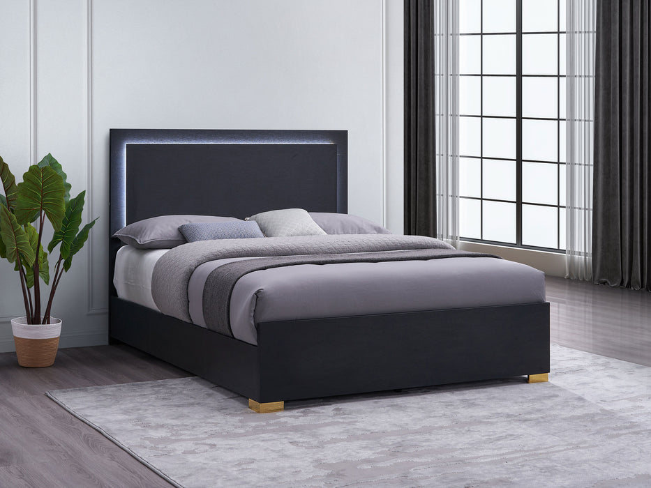 Marceline Beds 5