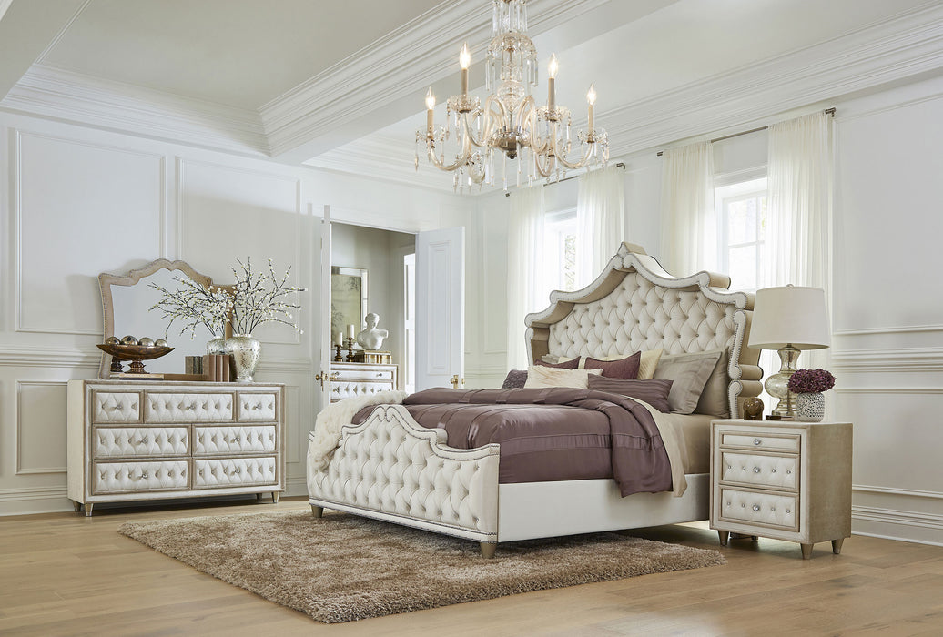 Antonella Beds