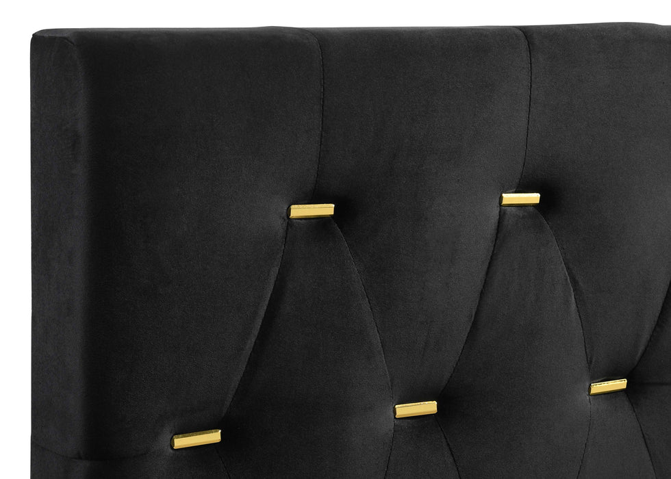 Kendall Panel Bed E.King, & Queen Black & White