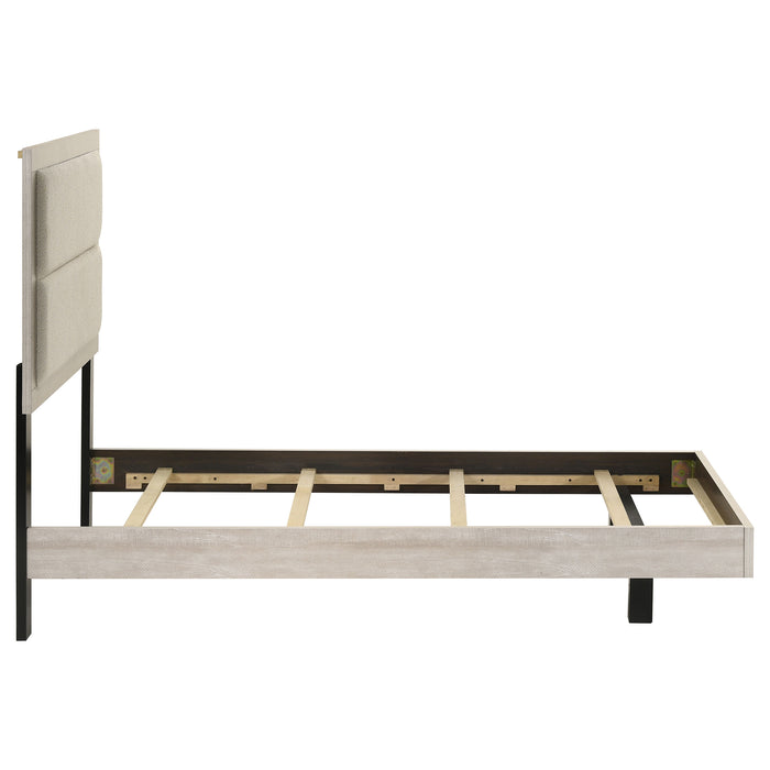 Trenton Beds