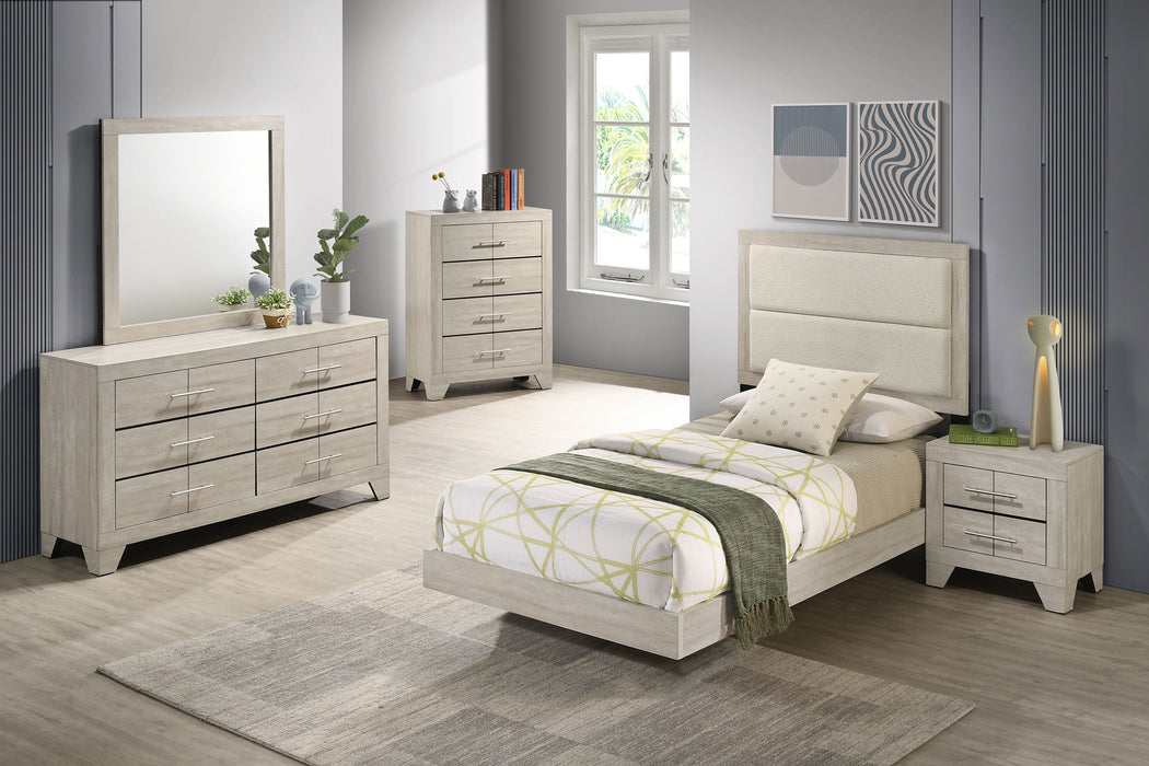 Trenton Beds
