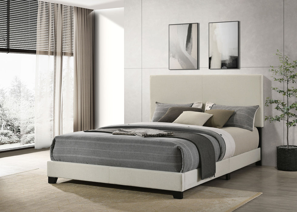 Dorian Beds 2