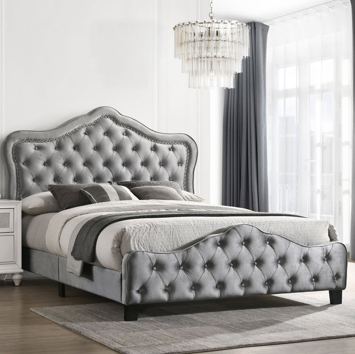 Bella Beds