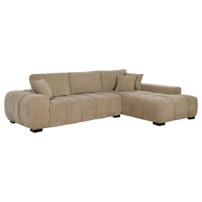 Octavia Stationary Sectionals